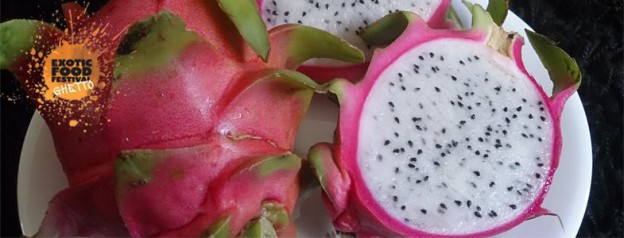 Exotic Food Festival